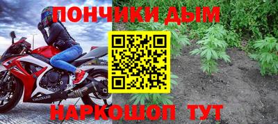 сатива Моздок