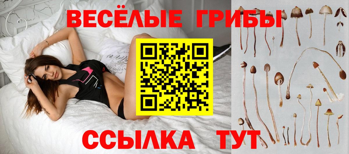 Псилоцибиновые грибы Magic Shrooms  Вход с VPN  Псилоцибиновые грибы ЛСД  Валуйки 
